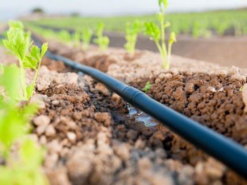 Çevreye duyarlı sulama