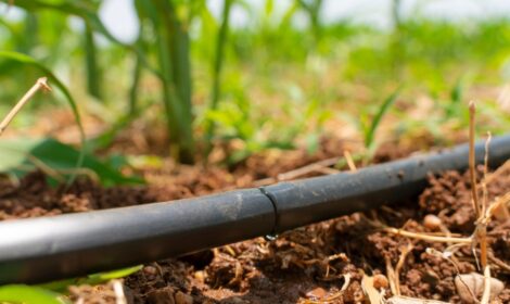 Yuvarlak Damlama Borusu - Tarımsal Sulama İçin Verimli ve Dayanıklı Sulama Çözümü