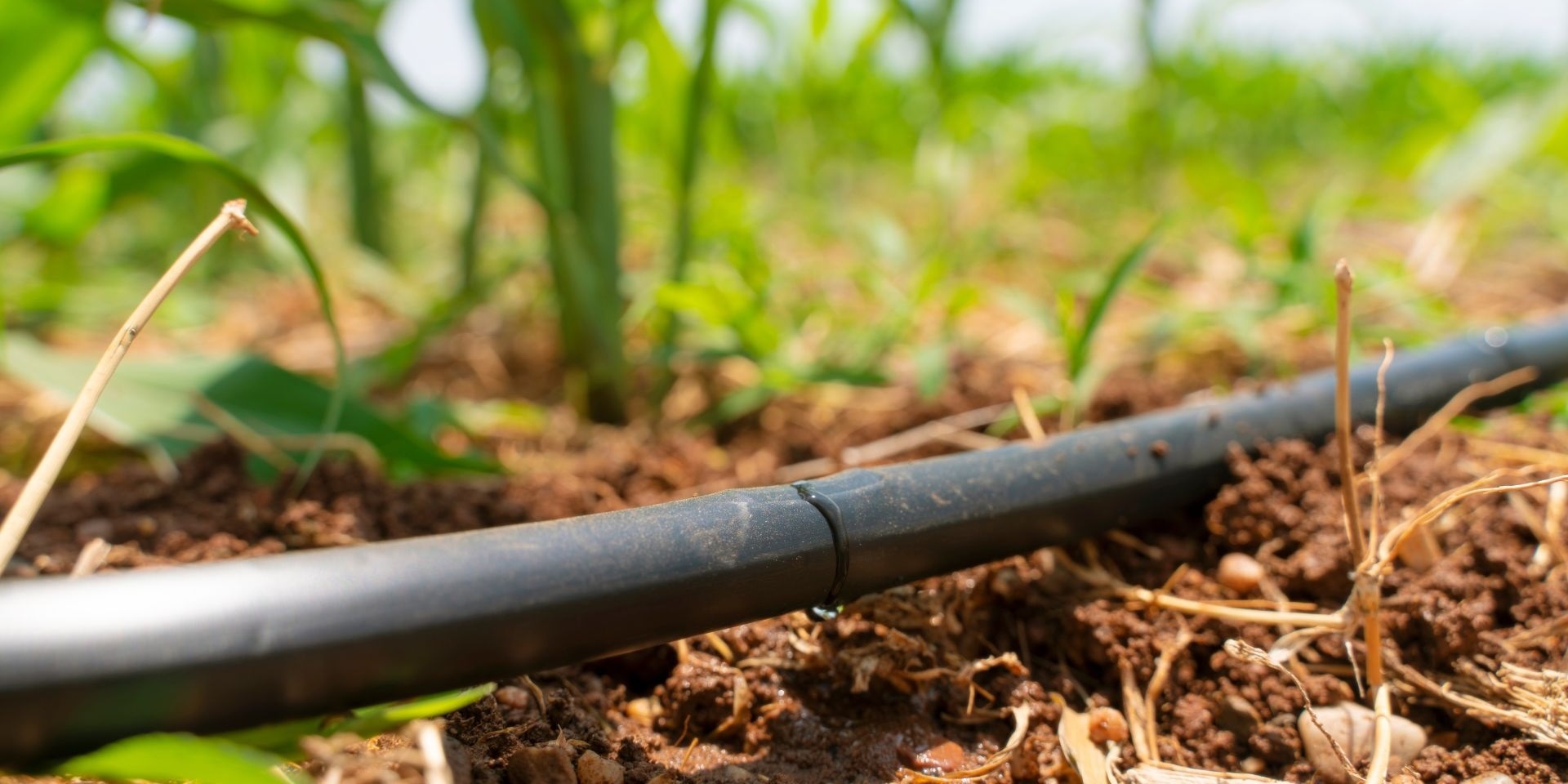 Yuvarlak Damlama Borusu - Tarımsal Sulama İçin Verimli ve Dayanıklı Sulama Çözümü